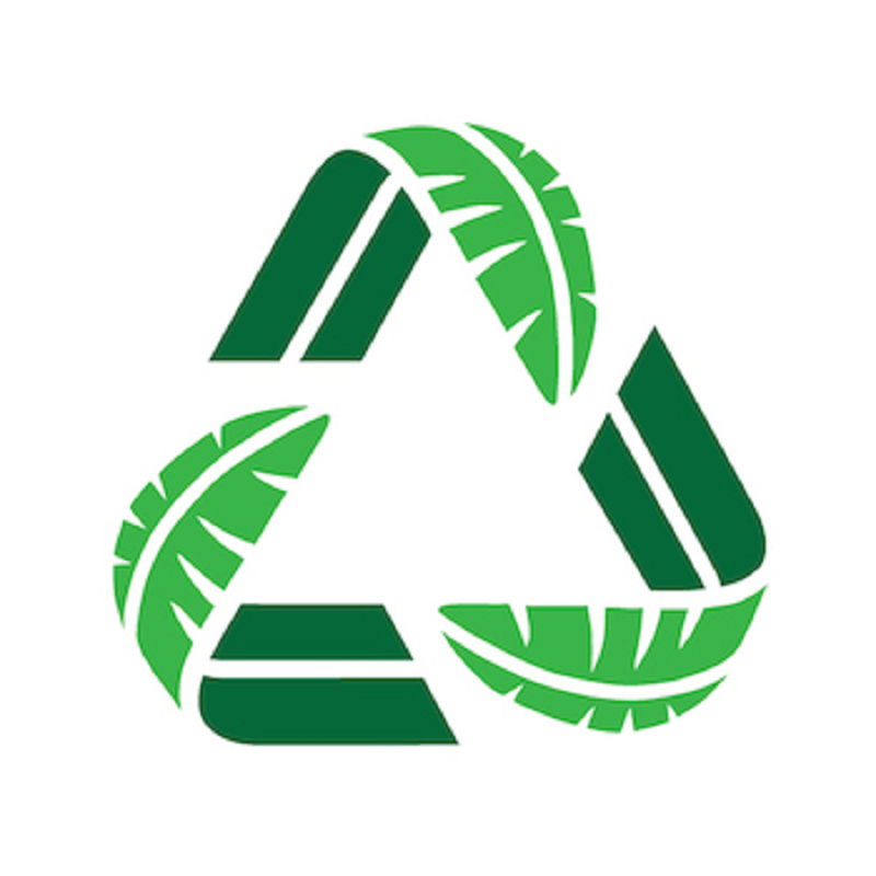 Green Banana Paper